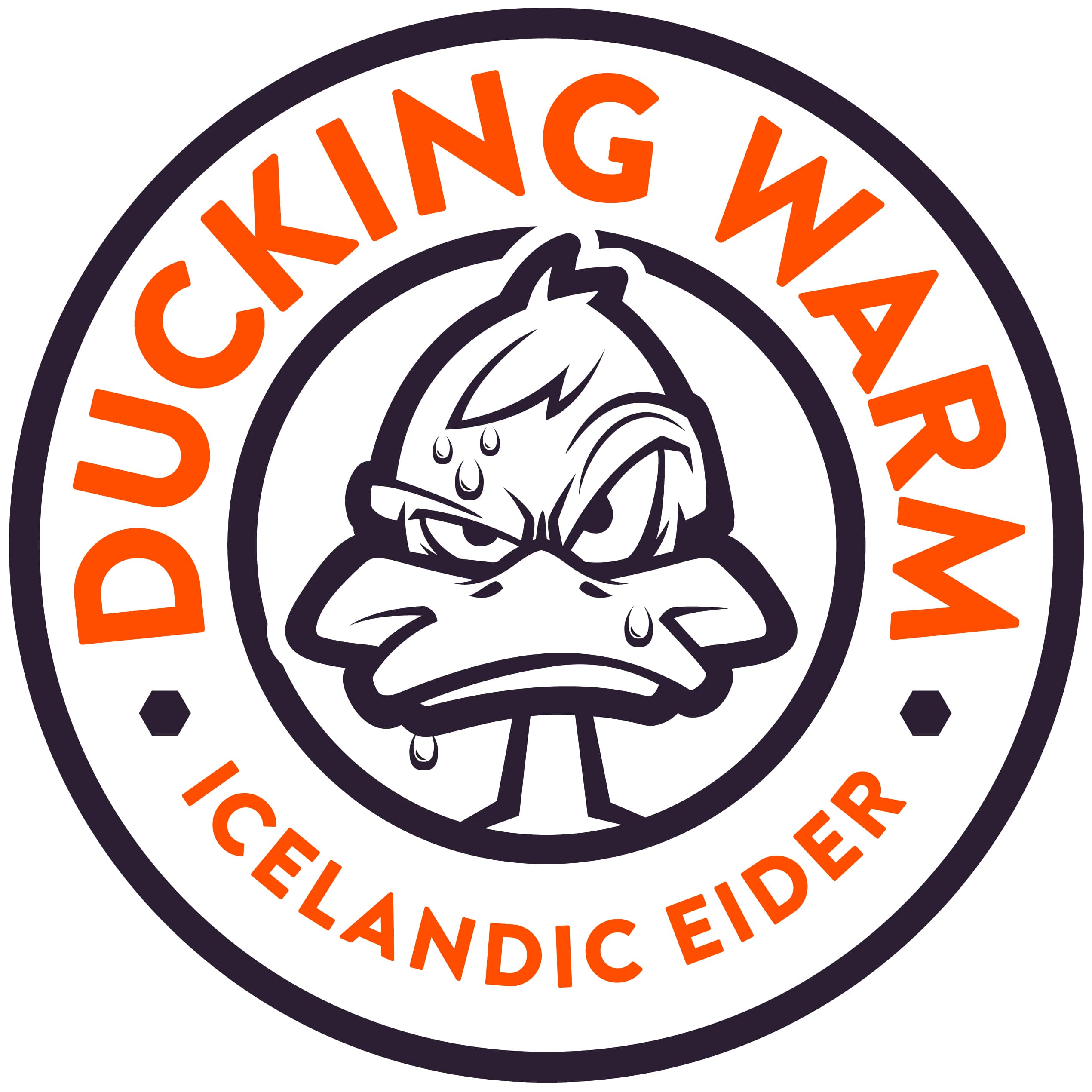 DUCKING WARM ICELANDIC EIDER
